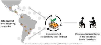 Sustainable beef labeling in Latin America and the Caribbean: Initiatives, developments, and bottlenecks